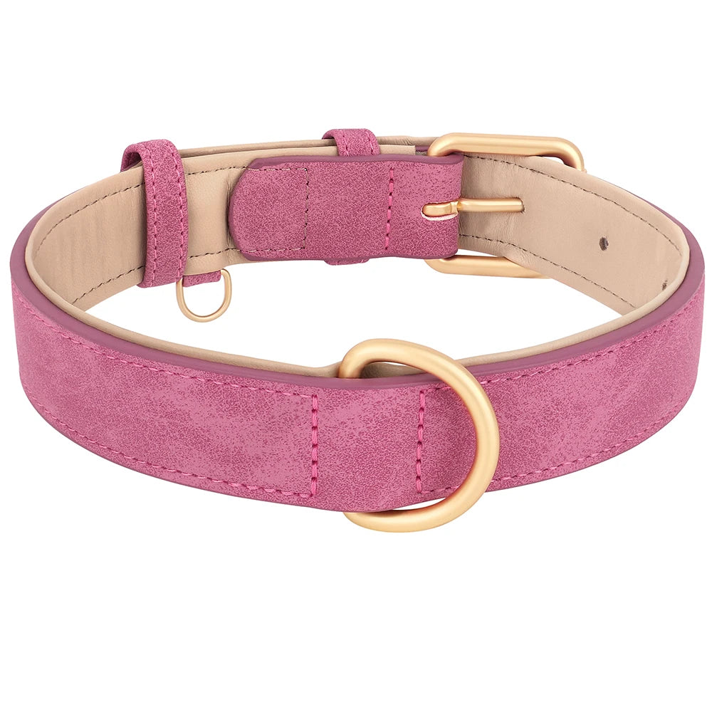 The Windsor Collar