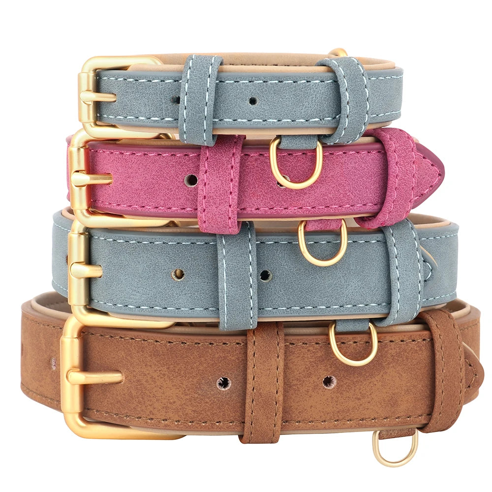 The Windsor Collar
