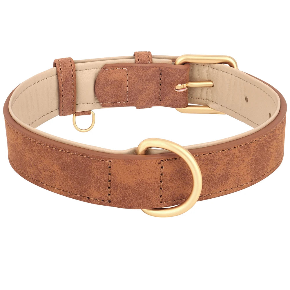 The Windsor Collar